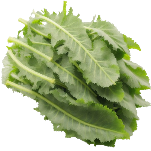 Dandelion greens
