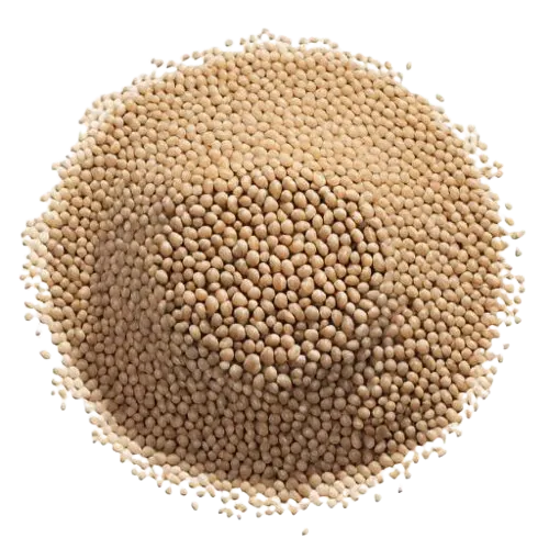 Defatted Soy Meal