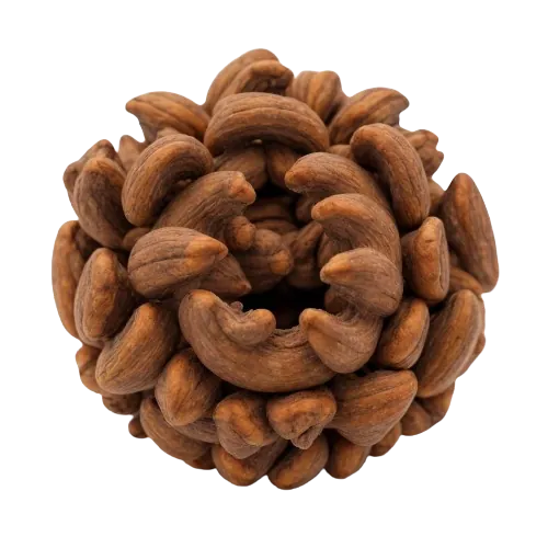 Dried acorn
