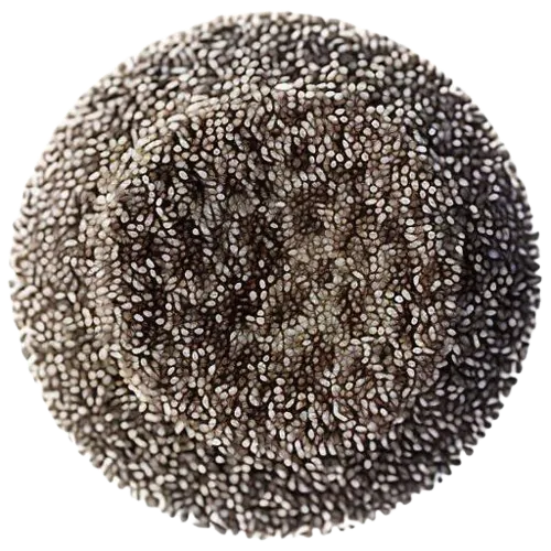 Dried chia seeds