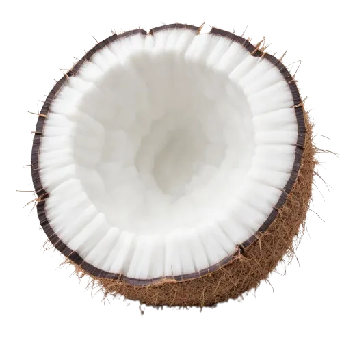 Dried coconut