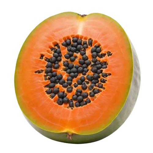 Dried Papaya