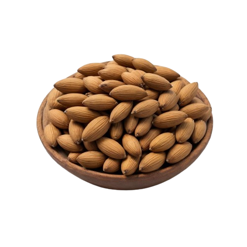 Dried pinyon pine nuts