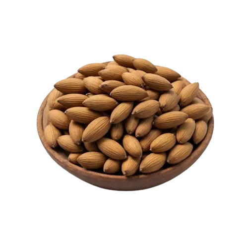 Dried pinyon pine nuts