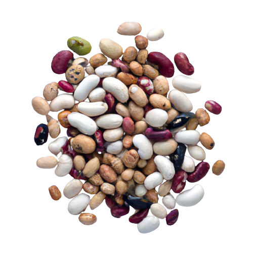 Dry Dark Red Kidney Bean