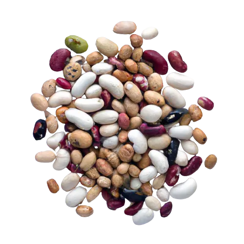 Dry Dark Red Kidney Bean
