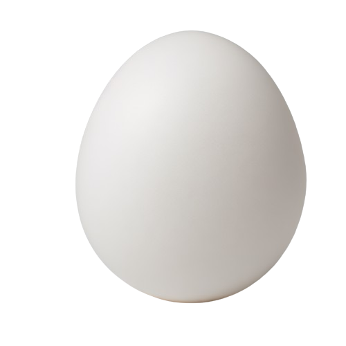 Duck egg