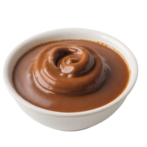 fat free beef gravy