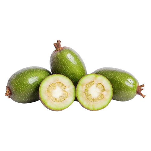 Feijoa