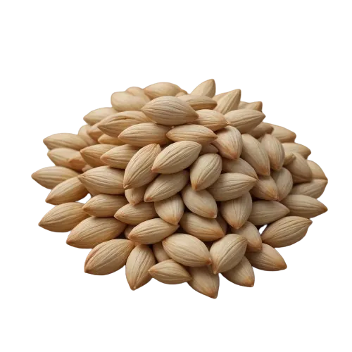 Fenugreek Seed