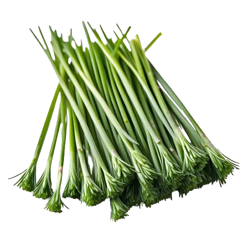 Freeze-dried chives