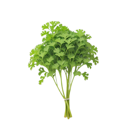 Freeze-dried parsley