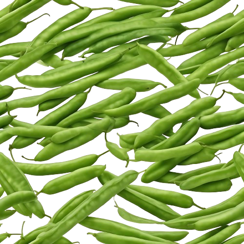 French beans