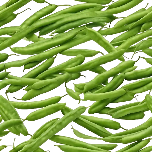 French beans