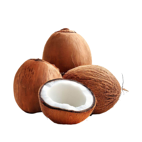 Fresh Coconut