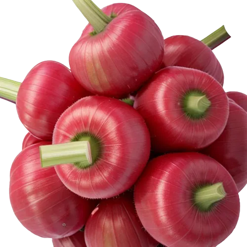 Frozen rhubarb