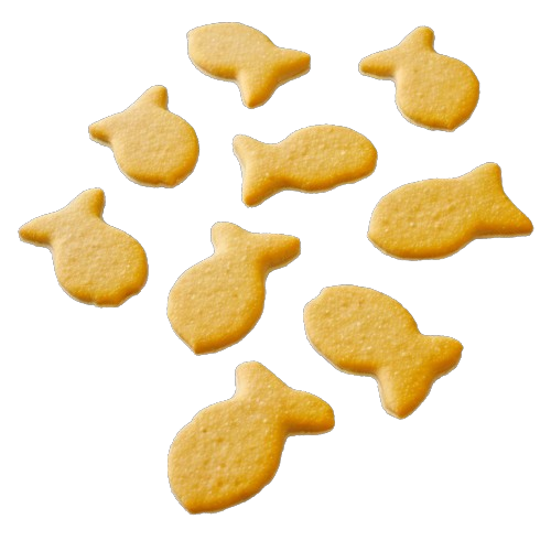 Goldfish
