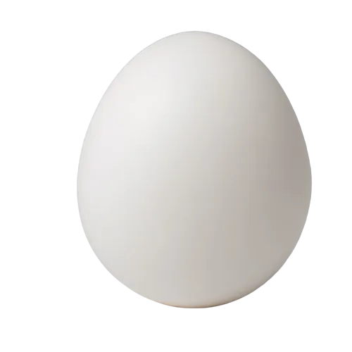 Goose egg