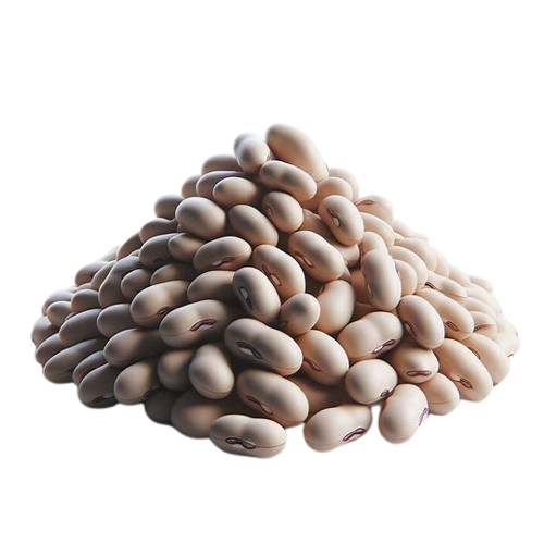 Great northern beans