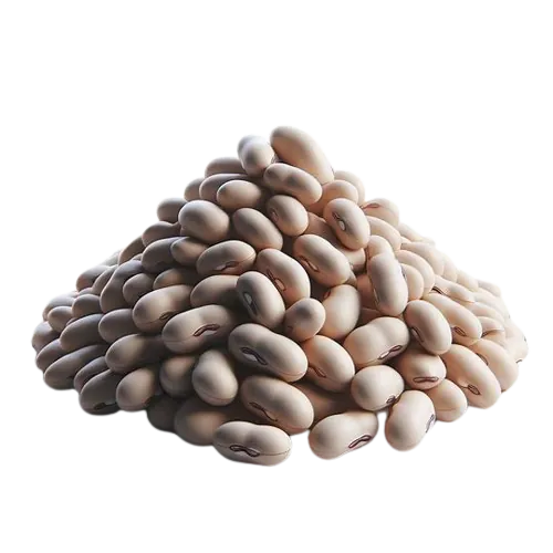 Great northern beans