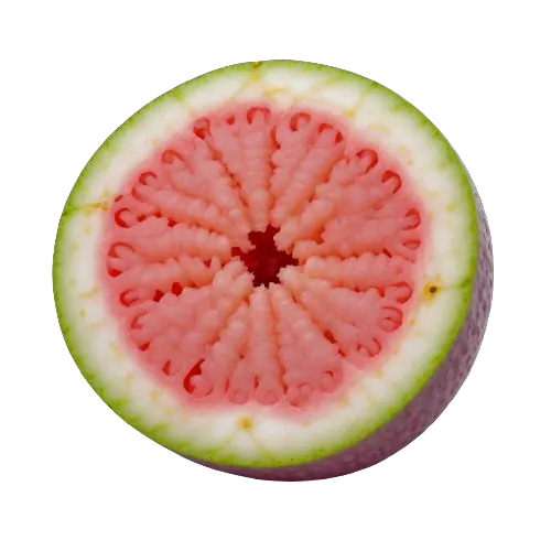 Guava paste