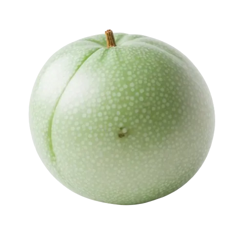 Honeydew melon