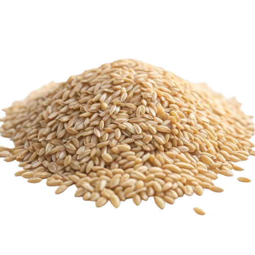 Hulled Barley