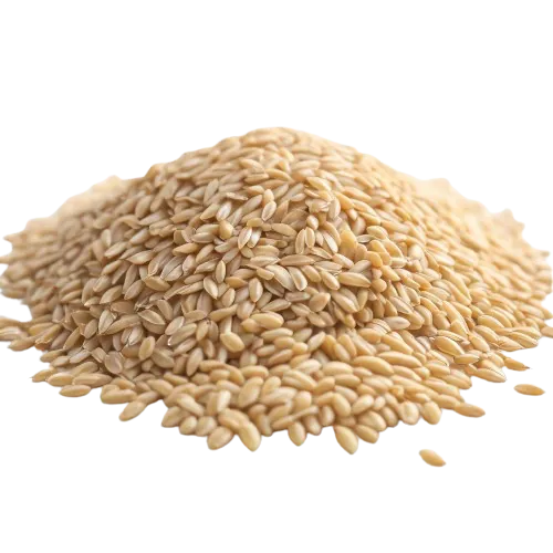 Hulled Barley