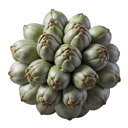 Jerusalem-artichokes