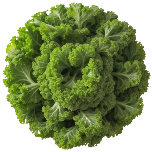 Kale