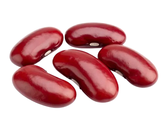 Kidney beans