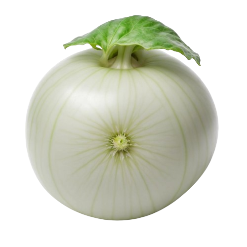 Kohlrabi