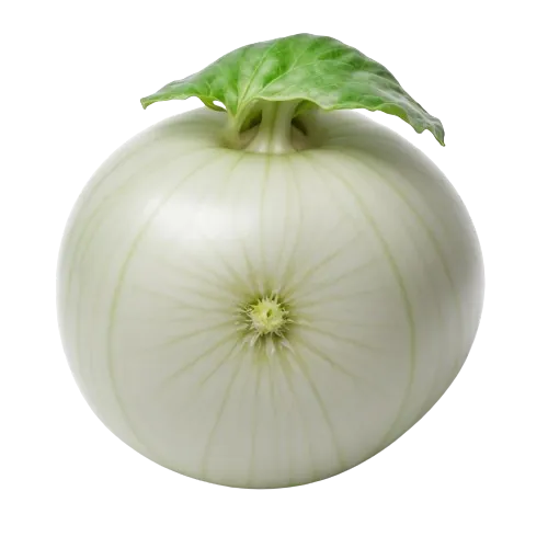 Kohlrabi