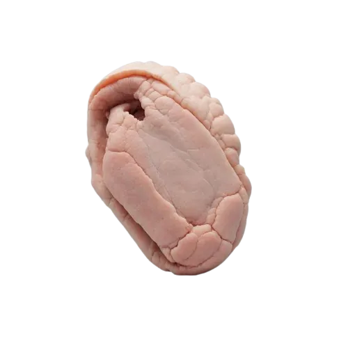 Lamb shoulder blade 1/8" fat