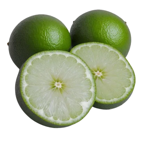 Limes
