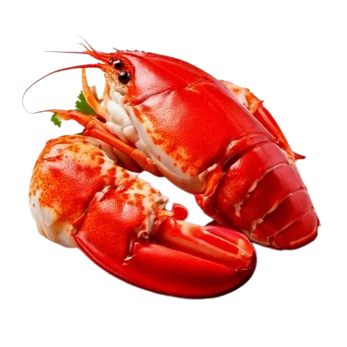 Lobster Meat