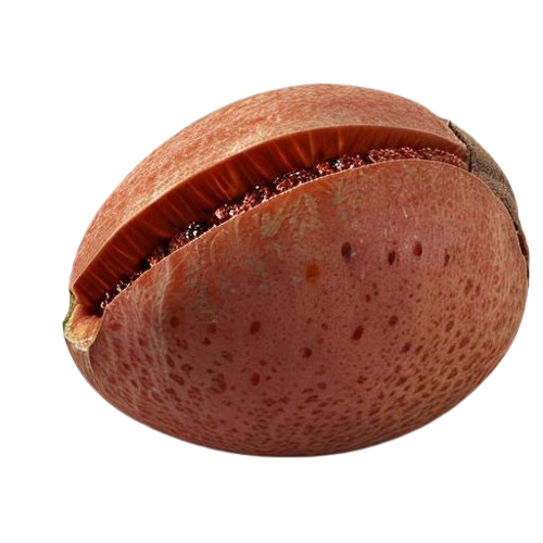 Mamey sapote