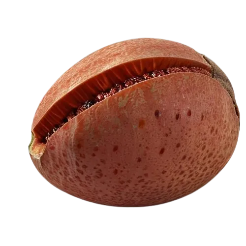 Mamey sapote