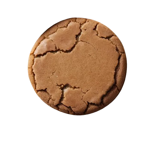 Molasses cookie