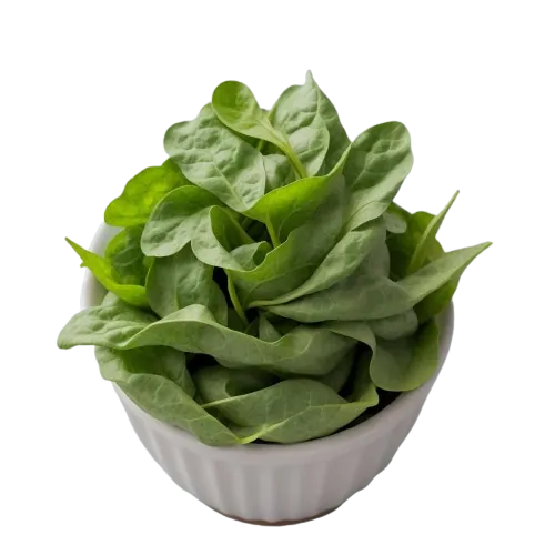 Mustard spinach