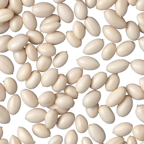Navy beans