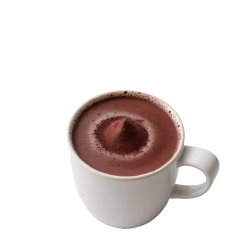 Non-dairy Milk Hot Chocolate
