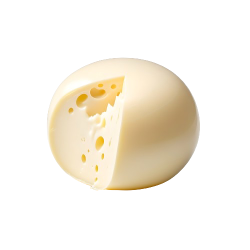 Nonfat Mozzarella