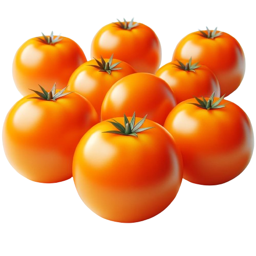 Orange tomatoes