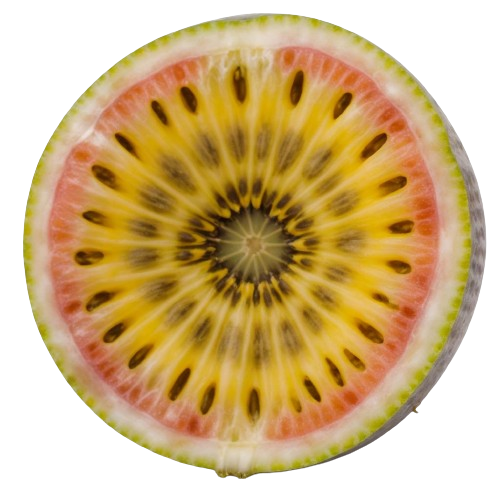 Passion Fruit