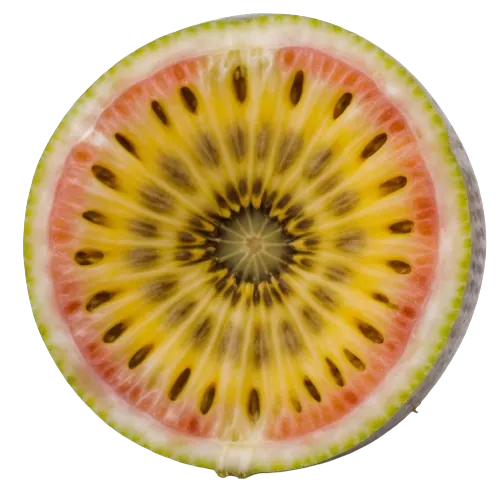 Passion Fruit