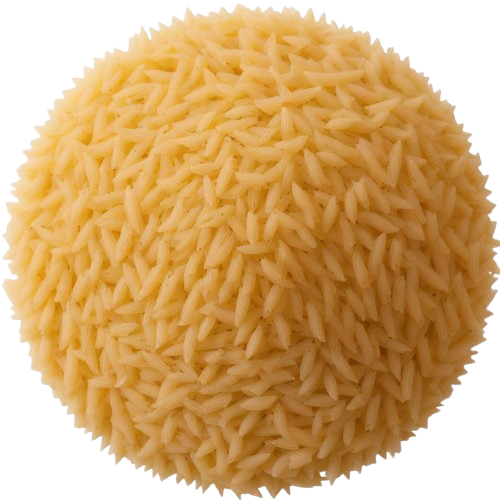 Pasta whole grain remaining unenriched semolina dry