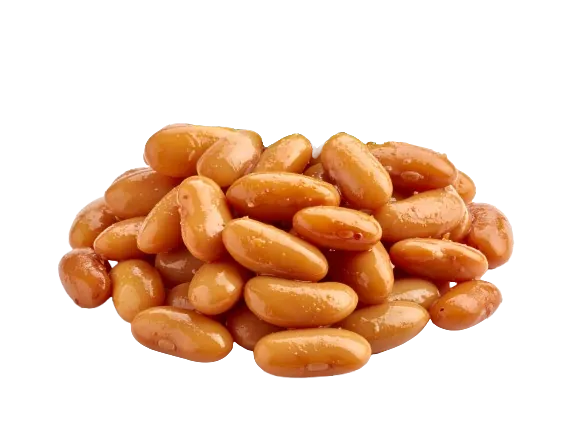 Pinto beans