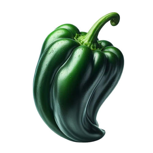 Poblano Pepper