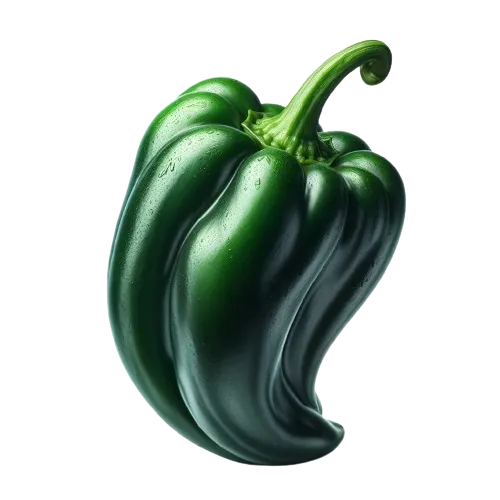 Poblano Pepper